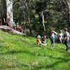 Bush Play Excursions - Image 2